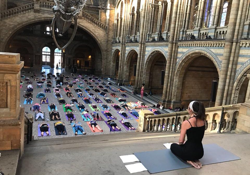Natural History Museum Sunday 19th January 2020