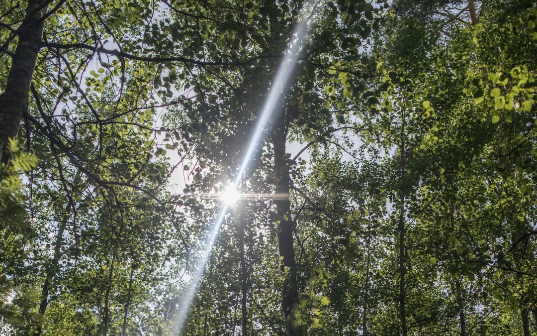 SEPT 2019 Yoga and Transformational Breath Retreat