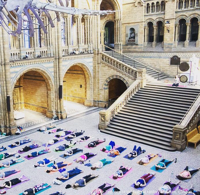 Natural History Museum Sunday 13th January 2019