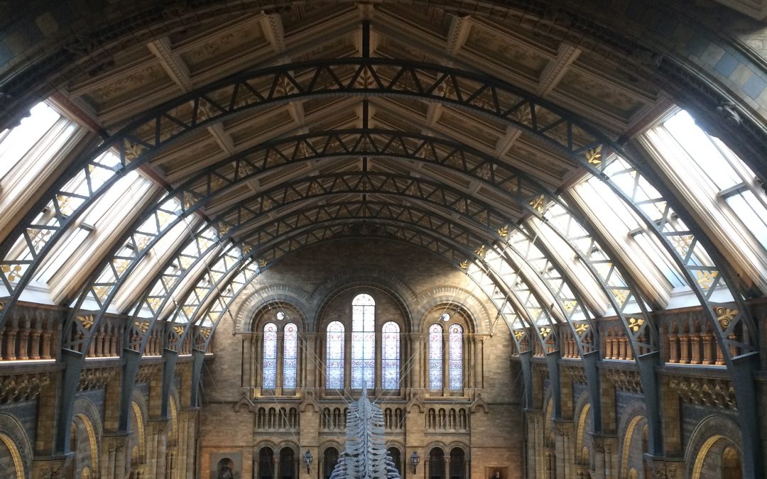 Natural History Museum 18th November 2018