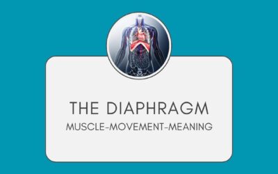 Breathing Lessons: The Diaphragm